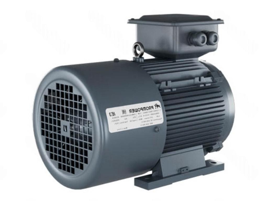 Электродвигатель 1LE9003-1EB23-3AA4 PROMPOWER